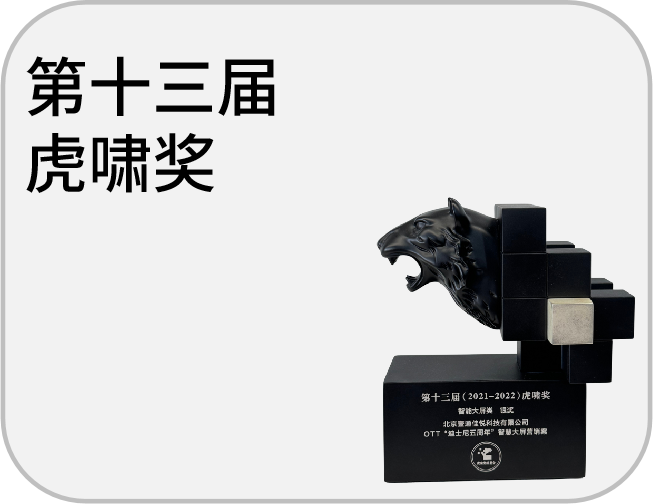 第十三届虎啸奖